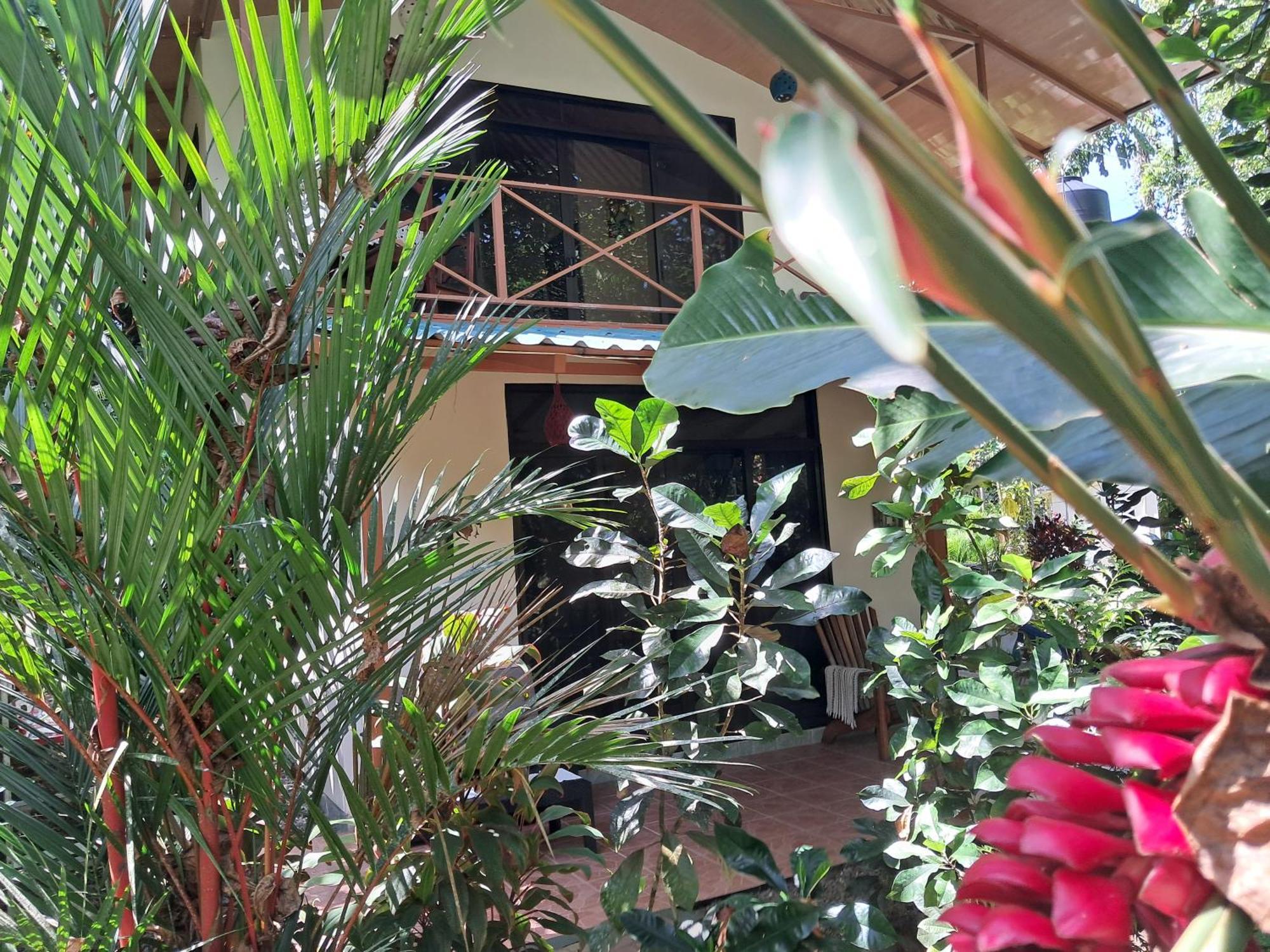 Villa New Caribe Point Cahuita Esterno foto