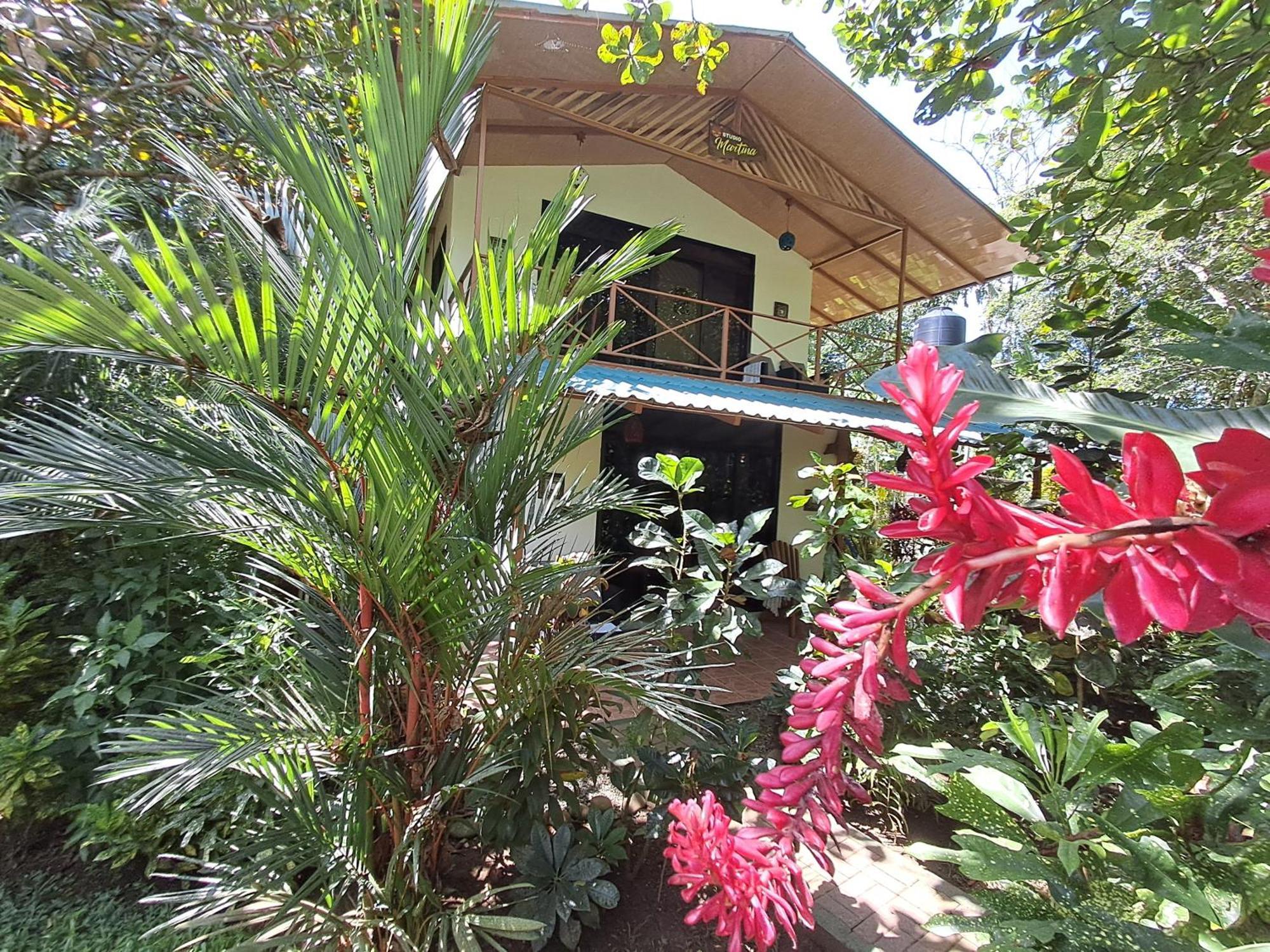 Villa New Caribe Point Cahuita Esterno foto