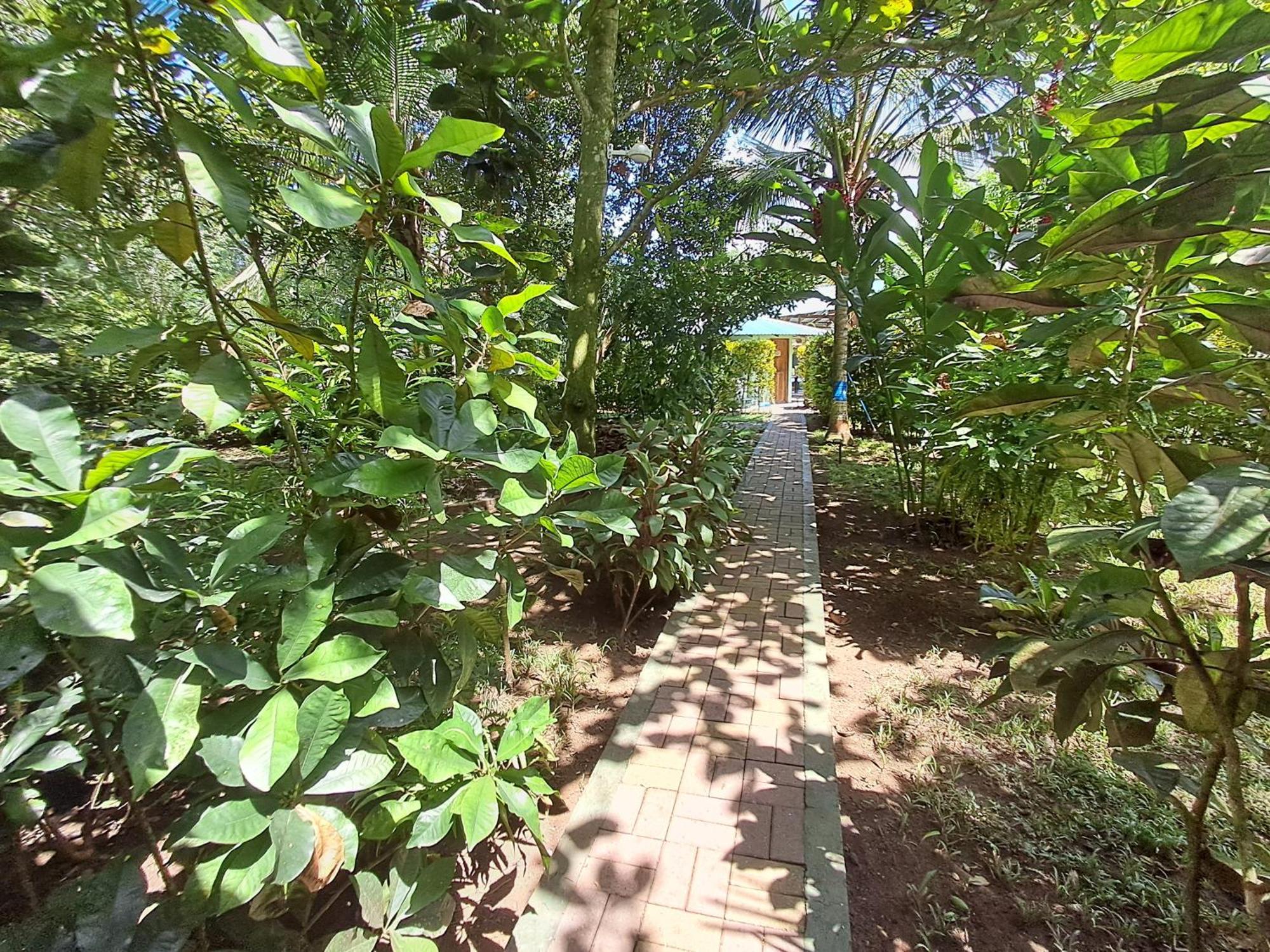Villa New Caribe Point Cahuita Esterno foto