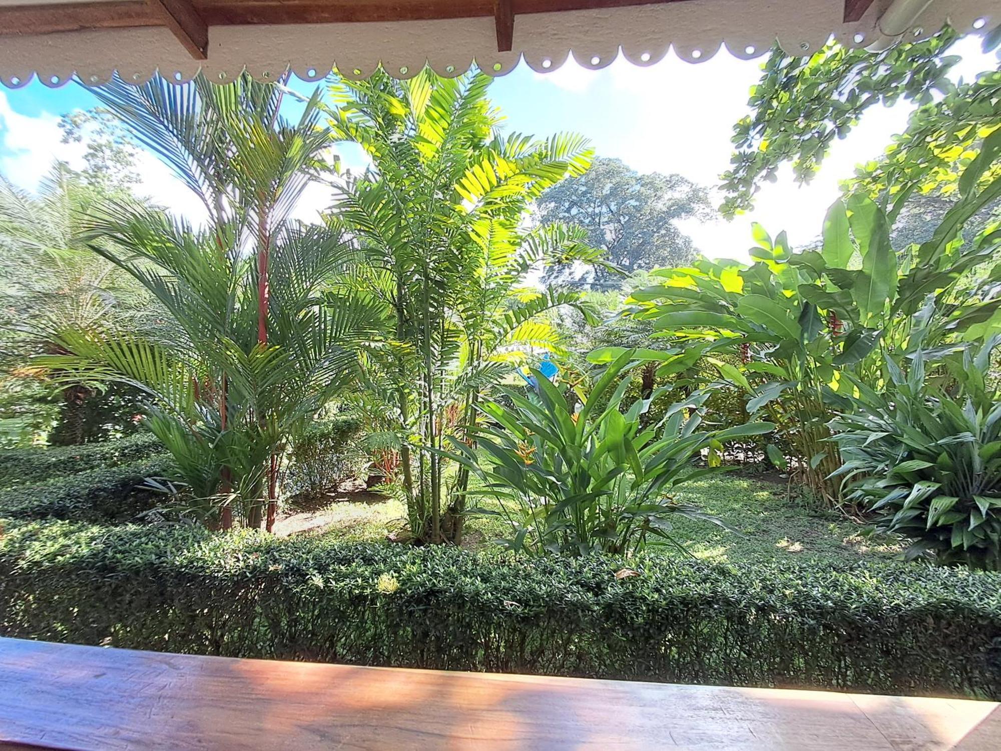 Villa New Caribe Point Cahuita Esterno foto