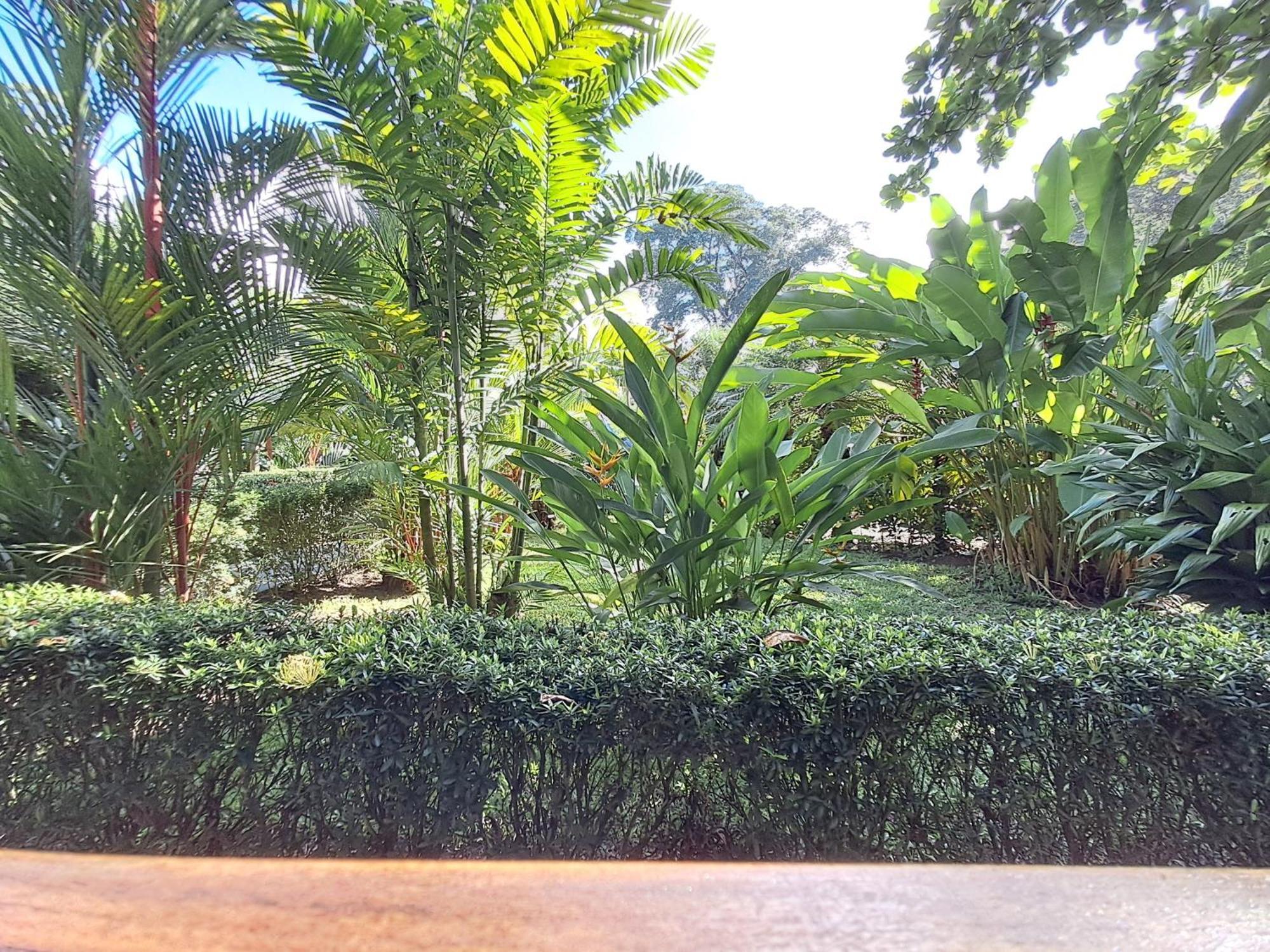 Villa New Caribe Point Cahuita Esterno foto
