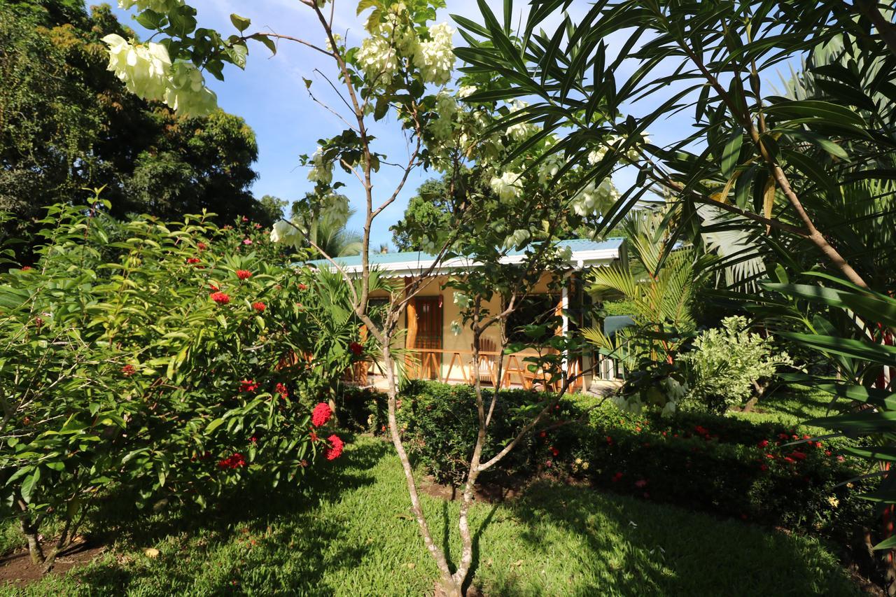 Villa New Caribe Point Cahuita Esterno foto