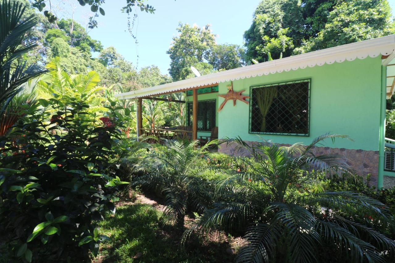 Villa New Caribe Point Cahuita Esterno foto